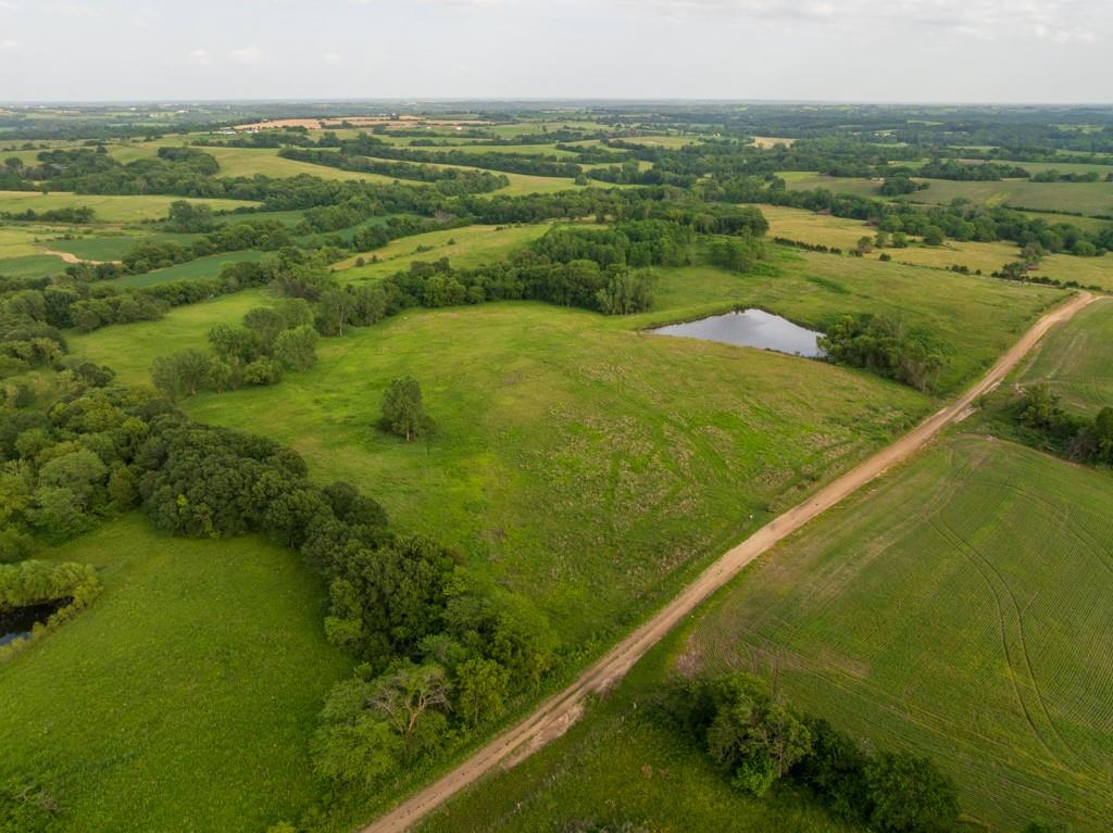 Listing Photo MLS #HMS2632780
