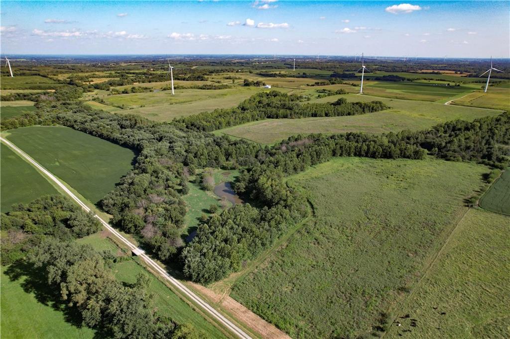 Listing Photo MLS #HMS2638843
