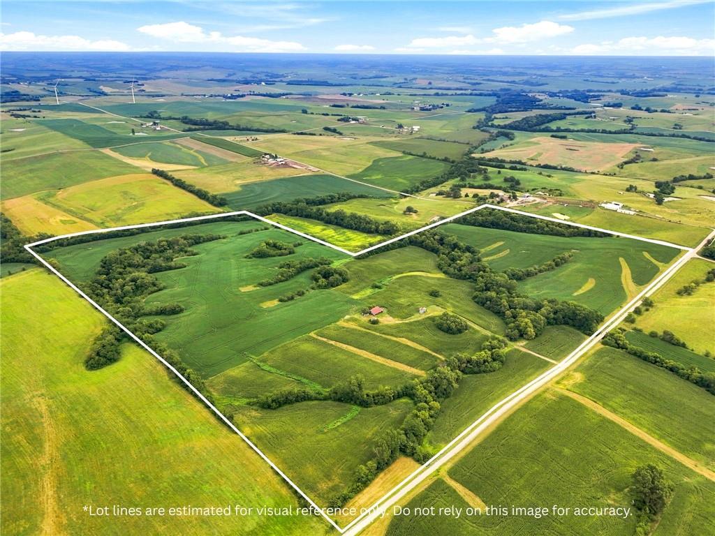 Listing Photo MLS #HMS2638848