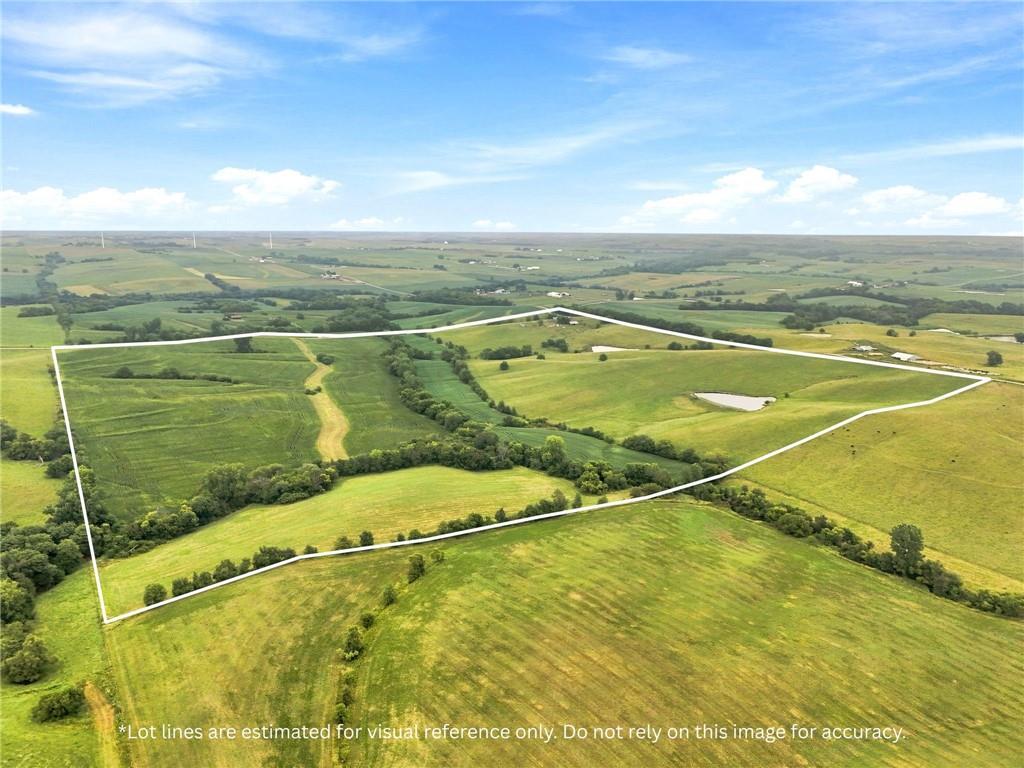 Listing Photo MLS #HMS2638851