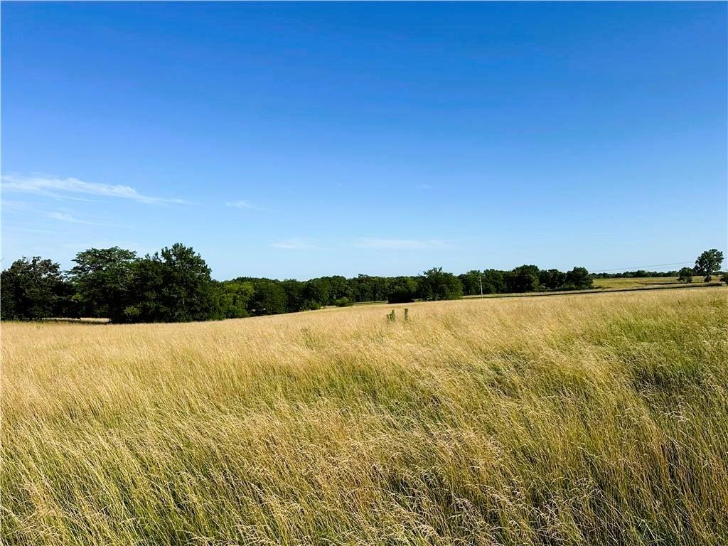 Listing Photo MLS #HMS2639641