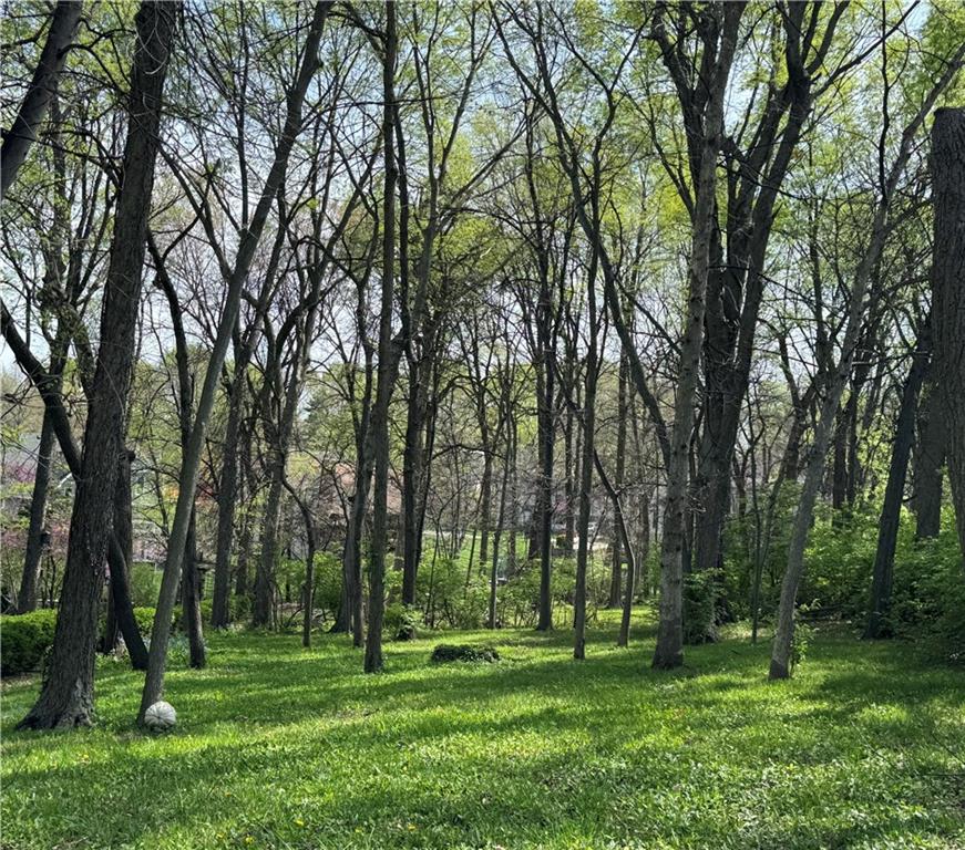 Listing Photo MLS #HMS2640248