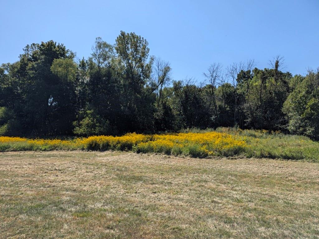 Listing Photo MLS #HMS2640688