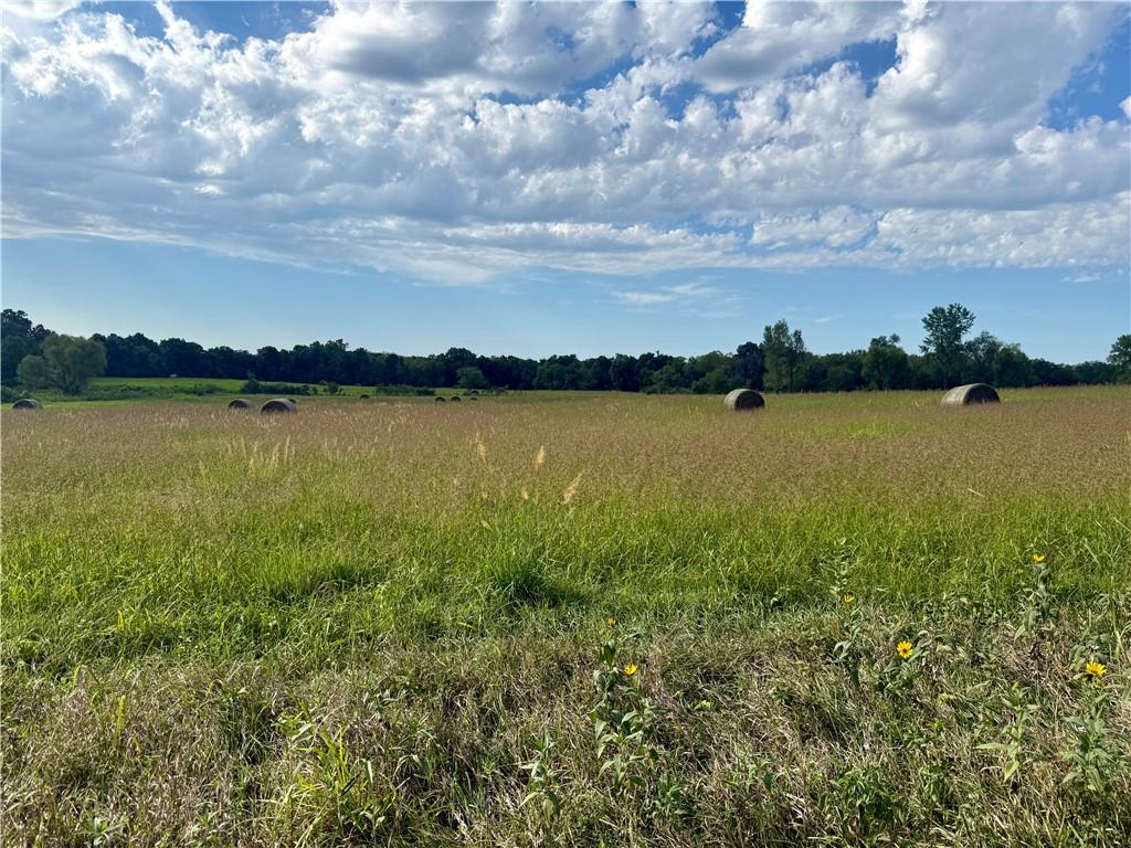 Listing Photo MLS #HMS2641535