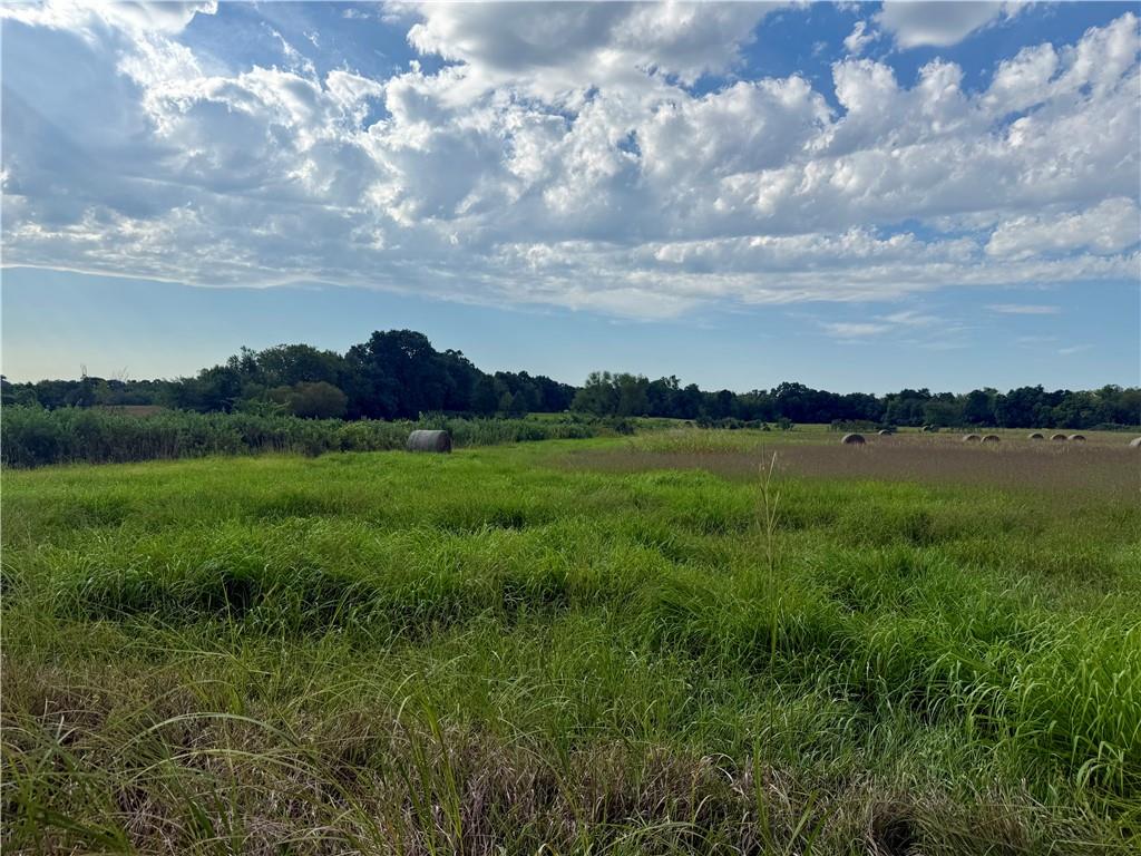 Listing Photo MLS #HMS2641537