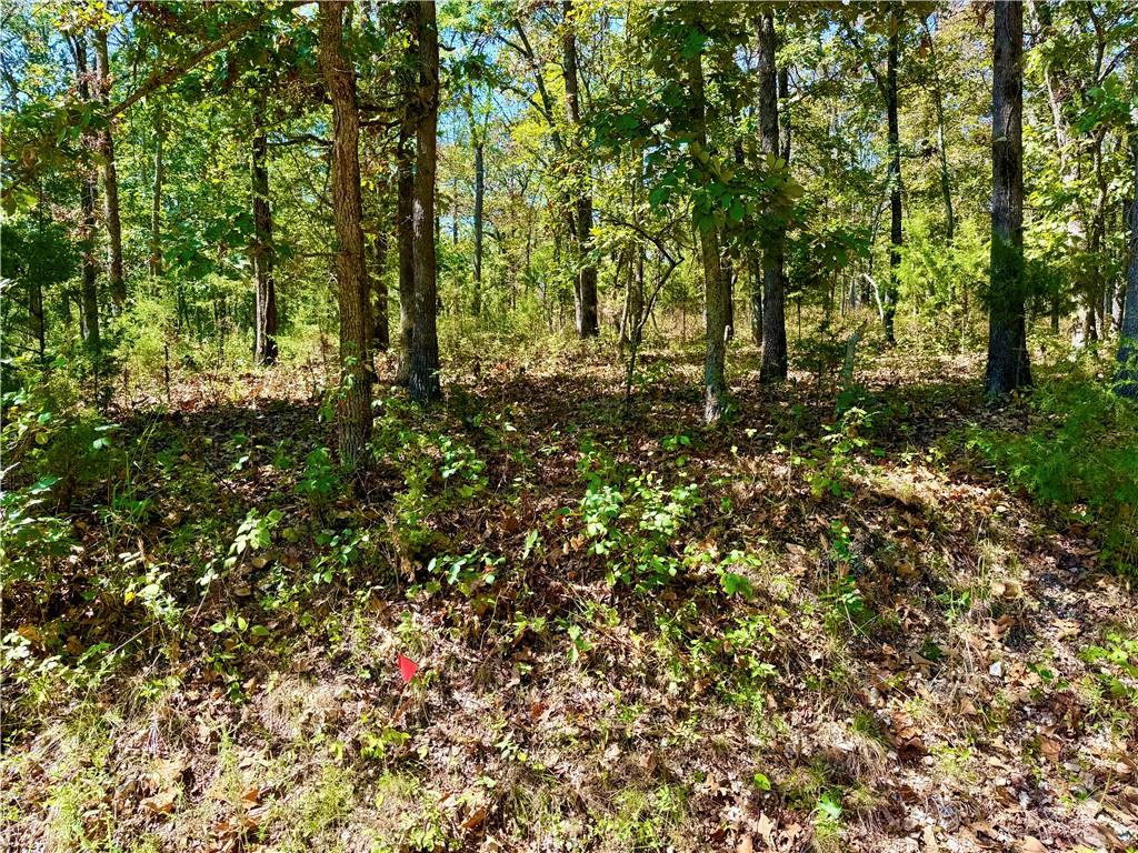 Listing Photo MLS #HMS2642640