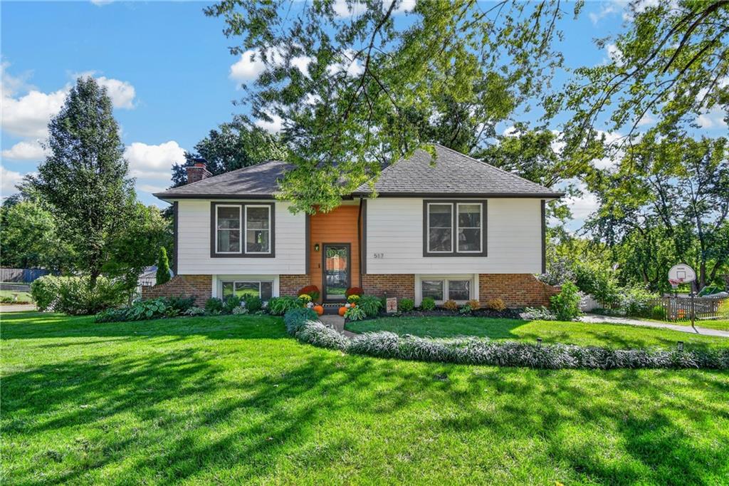Listing Photo MLS #HMS2644748
