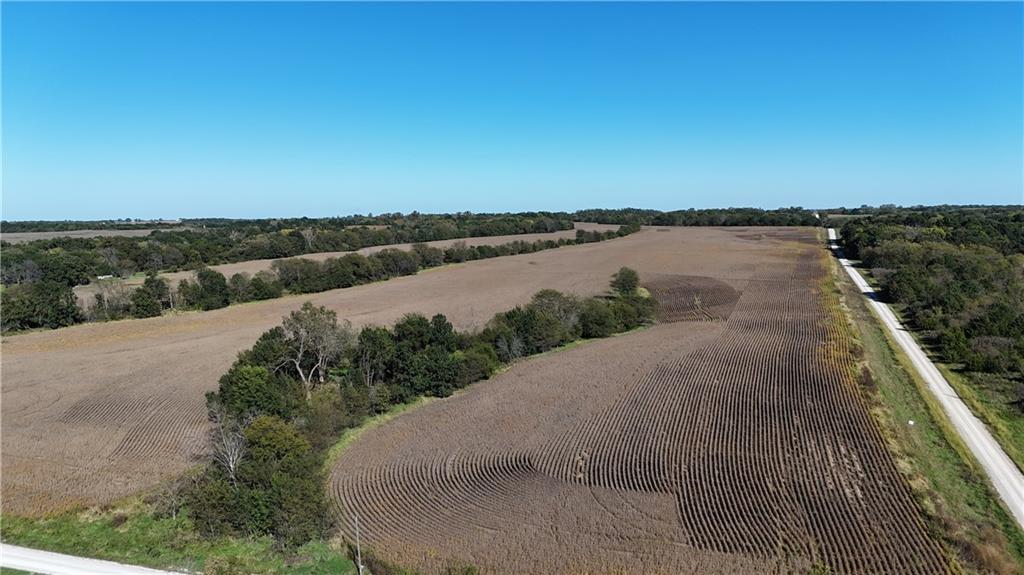 Listing Photo MLS #HMS2645080