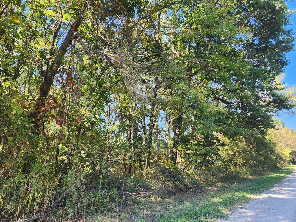 Listing Photo MLS #HMS2645859