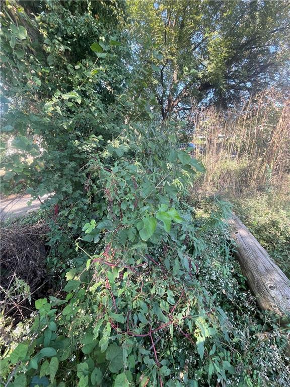 Listing Photo MLS #HMS2647355