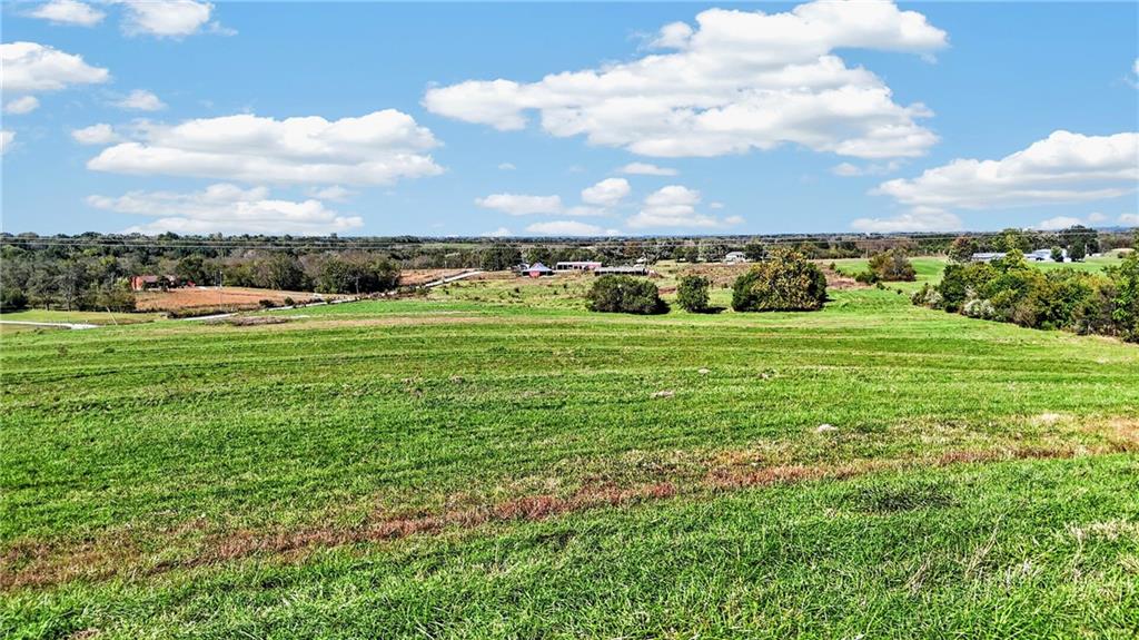 Listing Photo MLS #HMS2647523