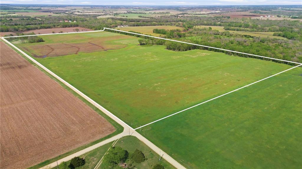 Listing Photo MLS #HMS2647706