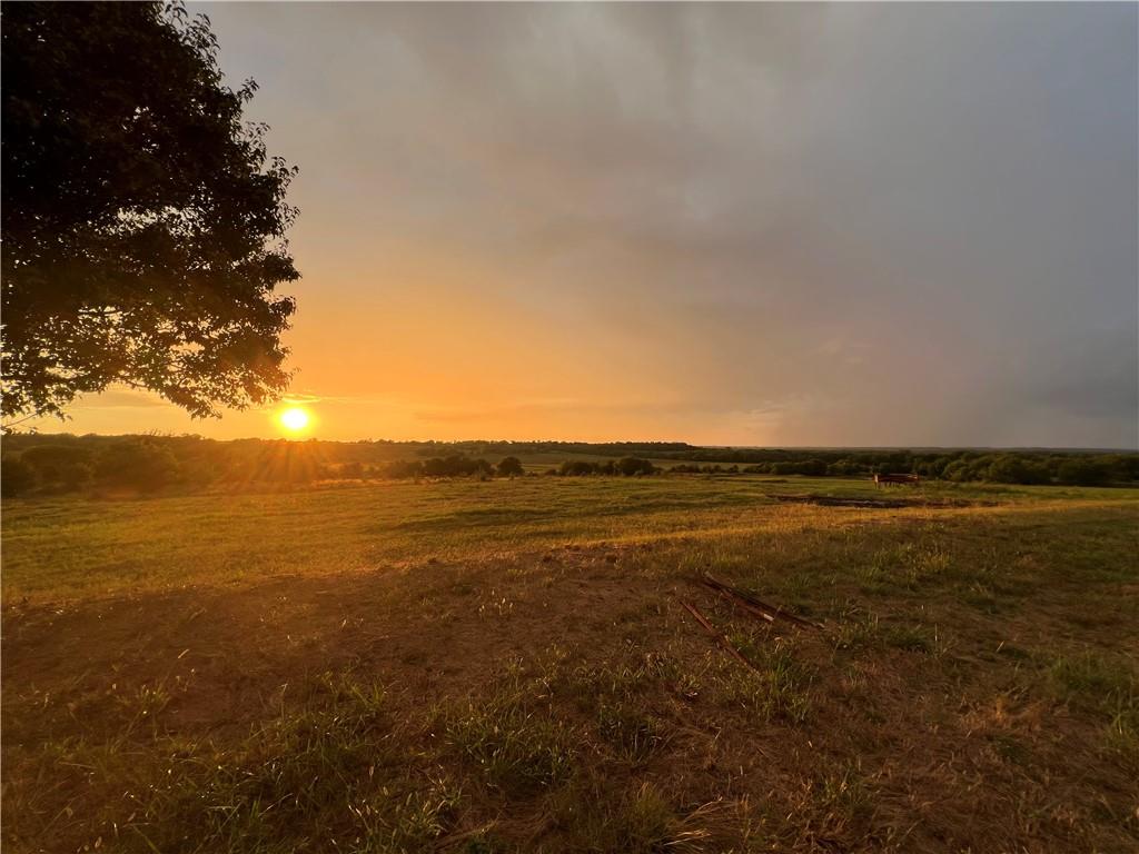 Listing Photo MLS #HMS2648241