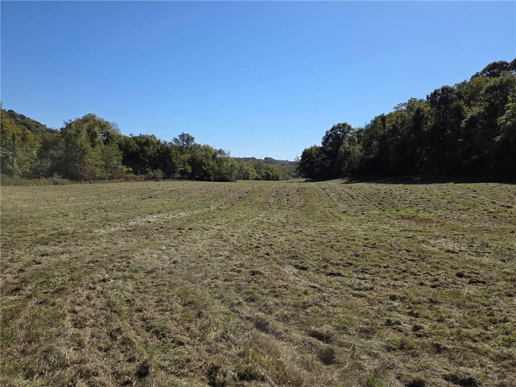 Listing Photo MLS #HMS2648308