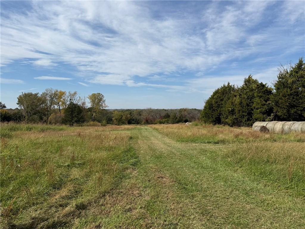 Listing Photo MLS #HMS2648786